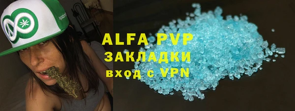 прущие грибы Бронницы