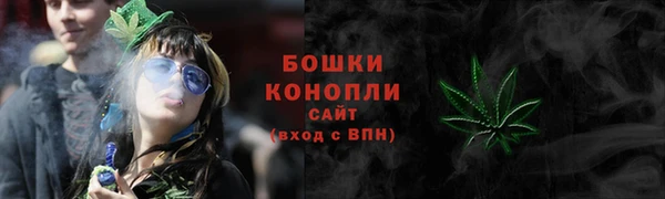 прущие грибы Бронницы