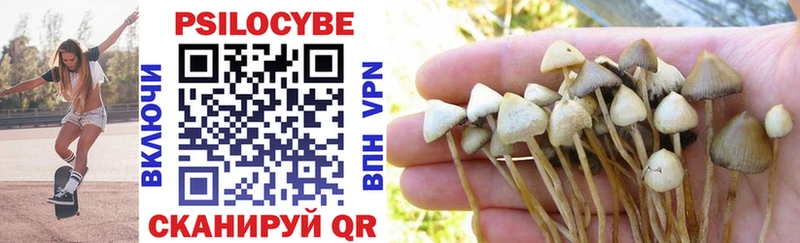 Псилоцибиновые грибы MAGIC MUSHROOMS shop Telegram Камышлов как найти закладки блэк спрут как зайти